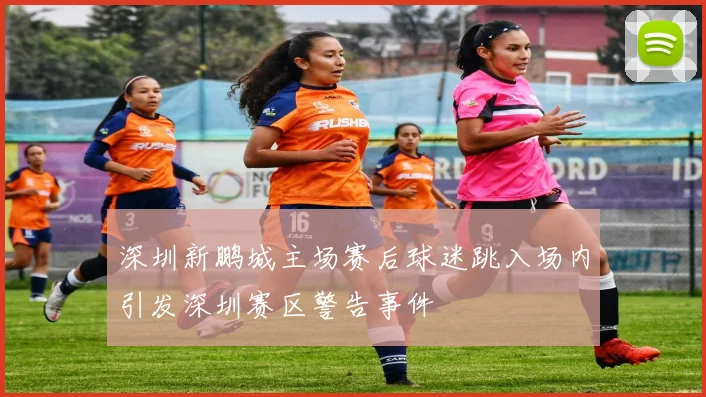 深圳新鹏城主场赛后球迷跳入场内引发深圳赛区警告事件